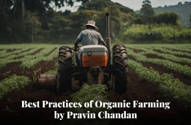 Pravin Chandan’s Best Practices of Organic Farming Done in India to Maximizing Yield