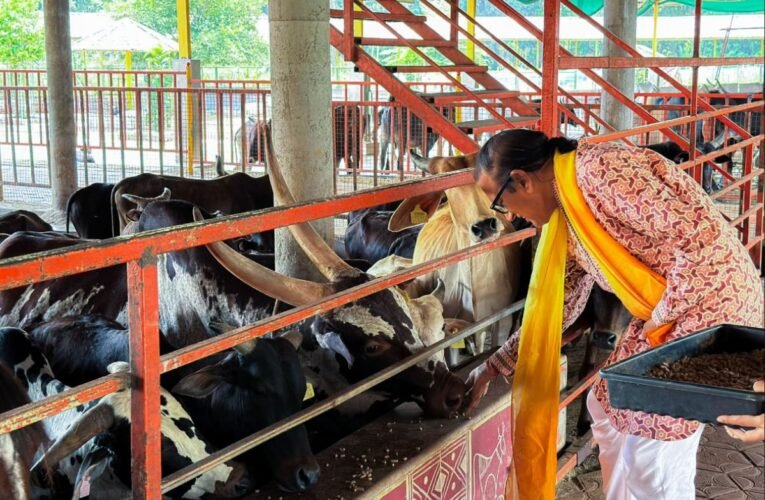 Dinesh Shahra Foundation Supports Gau Swarga’s Mission to Preserve Indigenous Cows, Participates in Gau Seva