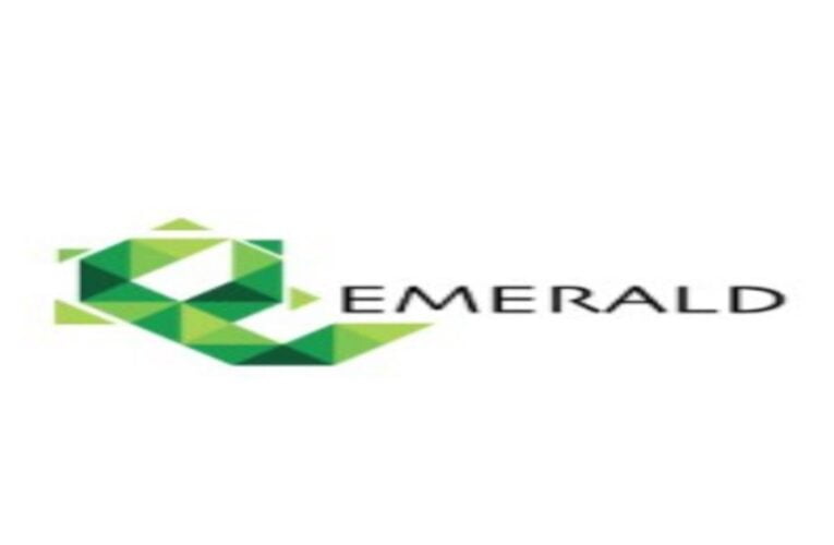 Emerald Finance Reports 20 Percent Surge in FY24 PAT