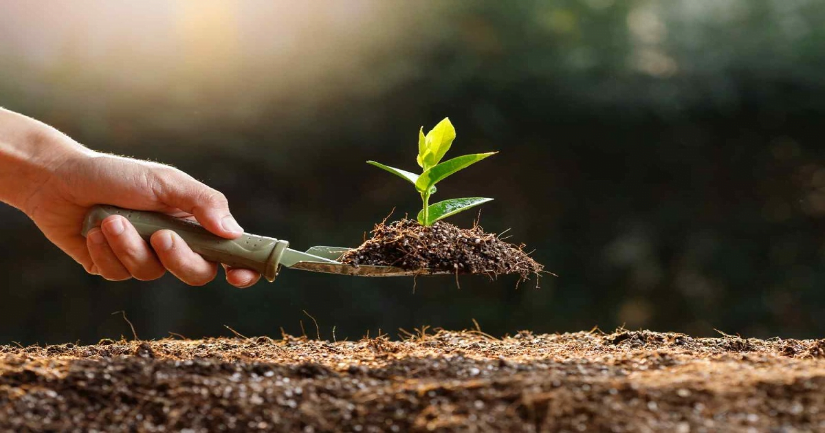 Organic Farming Policies and Support: What Farmers Need to Know