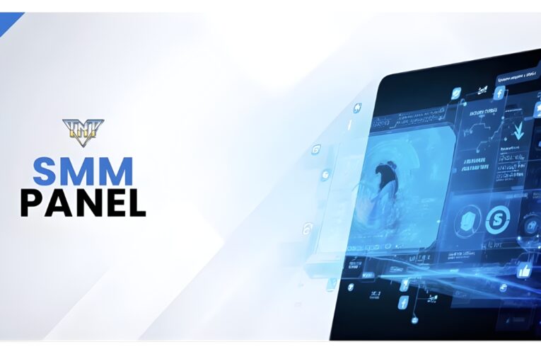 Why Businesses Are Searching for the Best SMM Panel in 2026