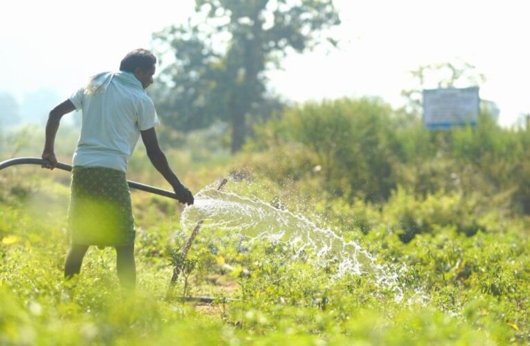 Vedanta Aluminium Enables Irrigation Across 800+ Acres in 41 Villages of Kalahandi