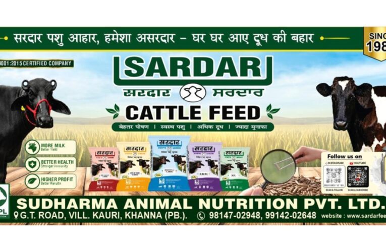 Sardar Cattle Feed: From a 1984 Family Legacy to a Modern Cattle Nutrition Brand